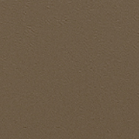 Серо-коричневый (RX TAUPE)